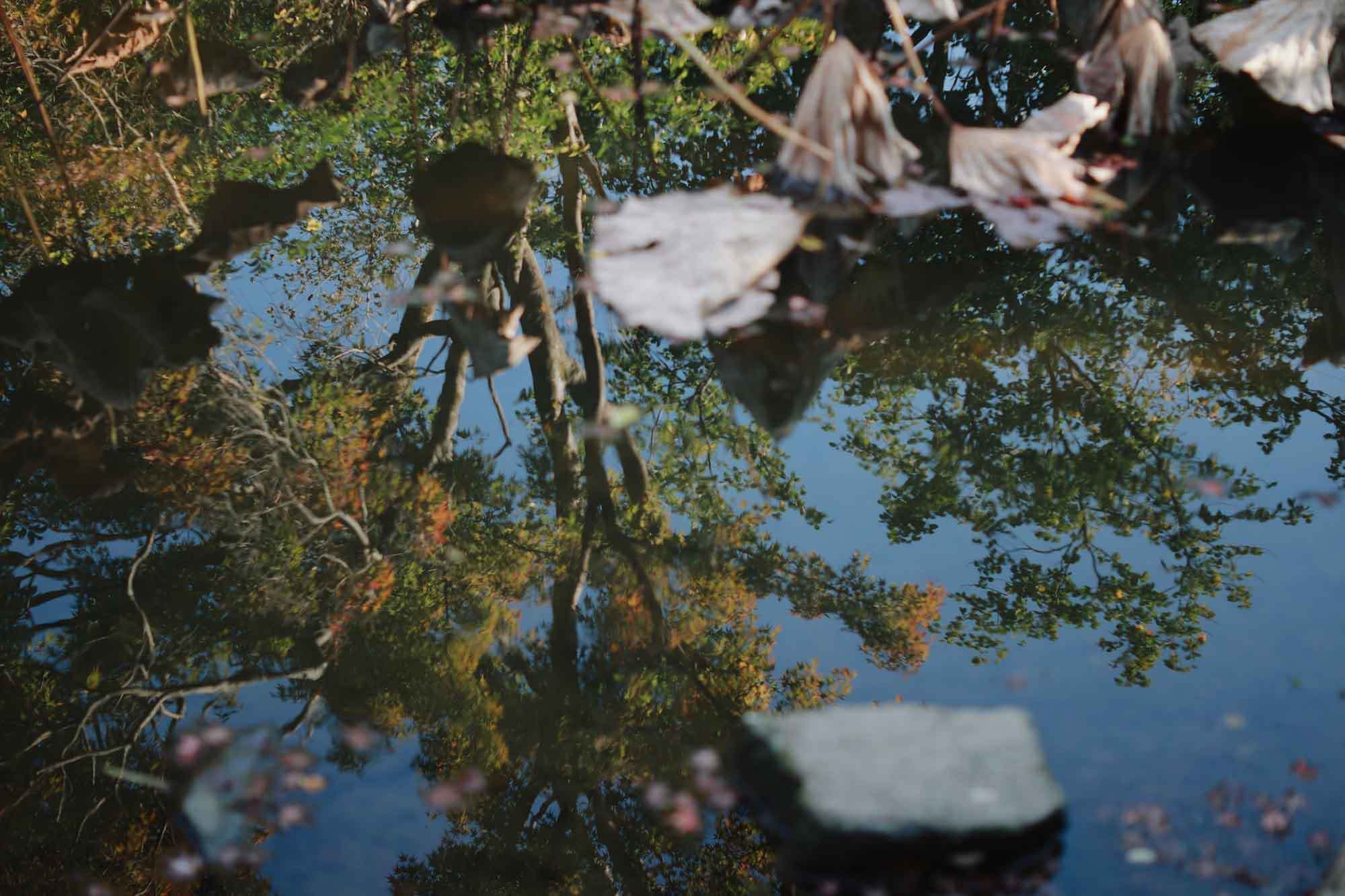 yogenin-a4.jpg